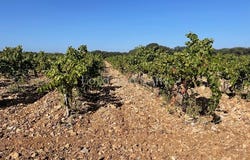 Tulette, Auvergne-Rhône-Alpes 26790