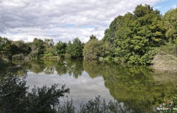 Bais, Pays de la Loire 53160