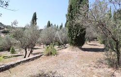 PIERREVERT, Provence-Alpes-Côte d'Azur 04860