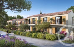 Oletta, Corsica 20232