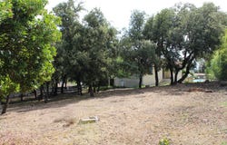 Mus, Gard 30121