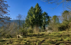 Le Collet-de-Dèze, Occitanie 48160