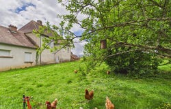 Sarlande, Aquitaine 24270