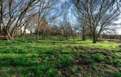 Castries, Languedoc-Roussillon 34160