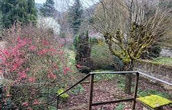 25, rue Neuve, Conliege, Bourgogne-Franche-Comté 39570