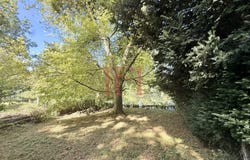 Morée, Loir-et-Cher 41160