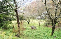 VABRE, Midi-Pyrénées 81330