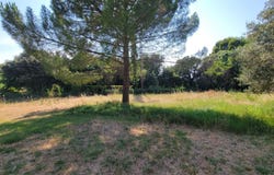 Le Pouget, Languedoc-Roussillon 34230