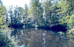 Coutras, Aquitaine 33230