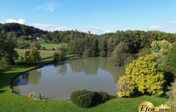 Sternenberg, Alsace 68780