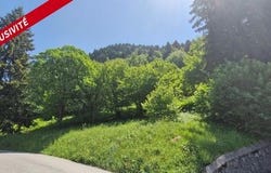Abondance, Rhône-Alpes 74360