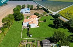 Grues, Pays de la Loire 85580