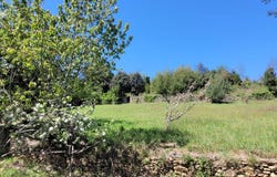 Lamalou-les-Bains, Languedoc-Roussillon 34240
