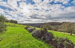Ribérac, Aquitaine 24600