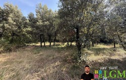 Sussargues, Languedoc-Roussillon 34160