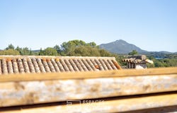 VIOLS LE FORT, Occitanie 34380