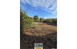 Saint-Chinian, Languedoc-Roussillon 34360