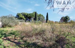 Neffiès, Hérault 34320