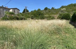 Saint-Florent-sur-Auzonnet, Gard 30960