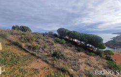 Banyuls-sur-Mer, Pyrénées-Orientales 66650