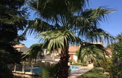 La Grande-Motte, Languedoc-Roussillon 34280