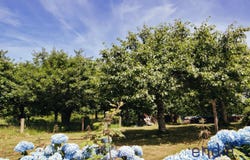 BUBRY, Brittany 56310