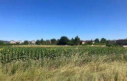 Cheyssieu, Auvergne-Rhône-Alpes 38550