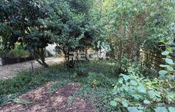 Olivet, Loiret 45160