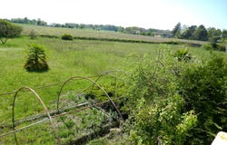 Angers, Maine-et-Loire 49000