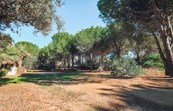 Saleilles, Occitanie 66280