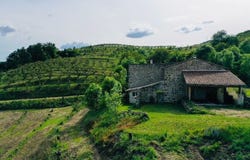 Empurany, Rhône-Alpes 07270