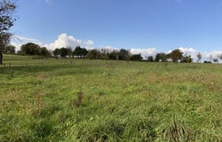 Nexon, Limousin 87800