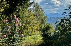Trie-sur-Baïse, Midi-Pyrénées 65220