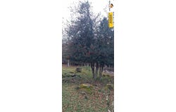 Boutx, Haute-Garonne 31440