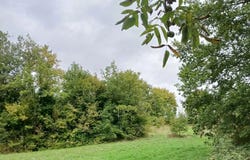 Ribérac, Dordogne 24600