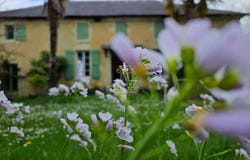Lagraulet-du-Gers, Midi-Pyrénées 32330