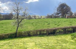 Cordesse, Burgundy 71540