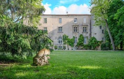 Plaigne, Languedoc-Roussillon 11420