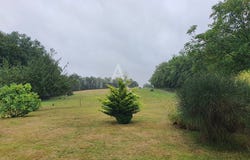 SEIGY, Centre-Val de Loire 41110