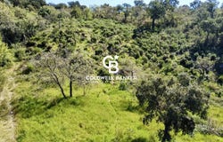 Grimaud, Var 83310