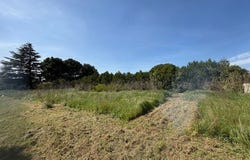 Arles, Provence-Alpes-Côte d'Azur 13200