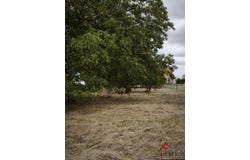 Ainvelle, Grand Est 88320