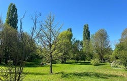 Saint-Jean-d'Angely, Poitou-Charentes 17400