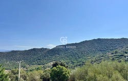 Monticello, Corsica 20220