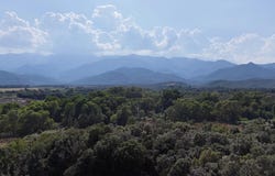 Ghisonaccia, Corsica 20240