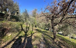 Gorbio, Provence-Alpes-Côte-d'Azur 06500