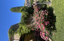 La Capelle-et-Masmolène, Languedoc-Roussillon 30700