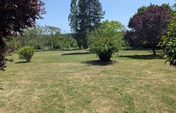 Chassignolles, Centre-Val de Loire 36400