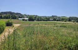 Tence, Haute-Loire 43190