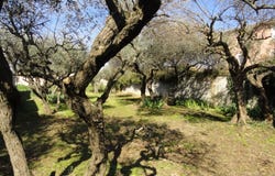 Saint-Gilles, Languedoc-Roussillon 30800
